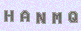 manual verify